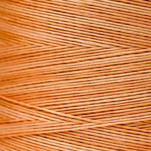 Weeks Dye Works Daylily